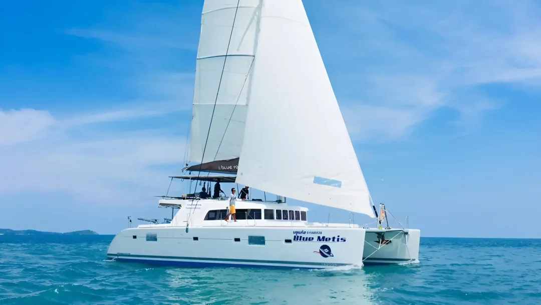BLUEMETIS1