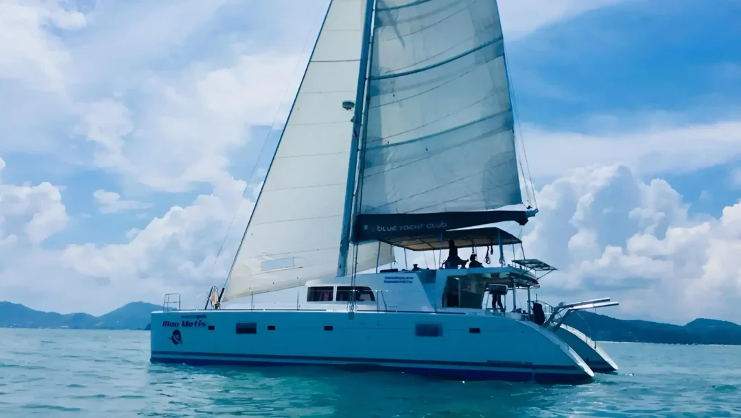 BLUEMETIS2