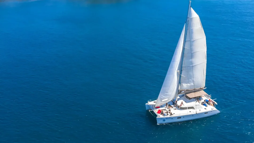 BLUEMETIS4