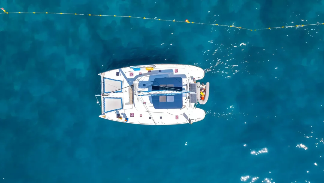 BLUEWING 44 img2