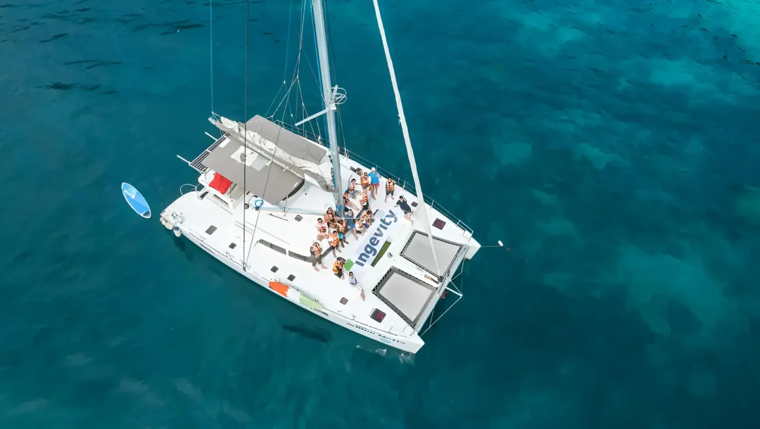 BLUEWING 44 img4