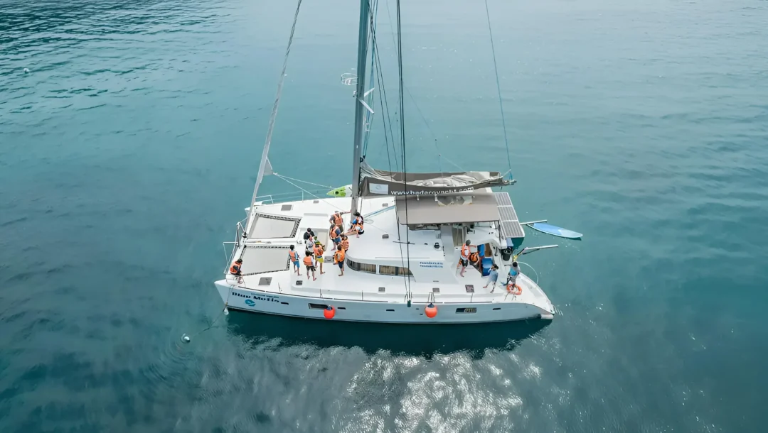 BLUEWING 44 img5