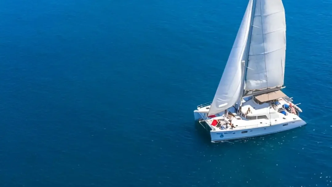 BON VOYAGE1